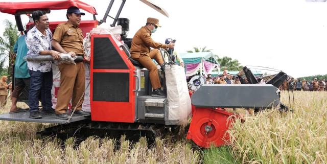 Bupati Palas, Putra Mahkota Ala ,kemudikan traktor jenis Combine Harvester pada panen raya padi di Kecamatan Barumun Barat.